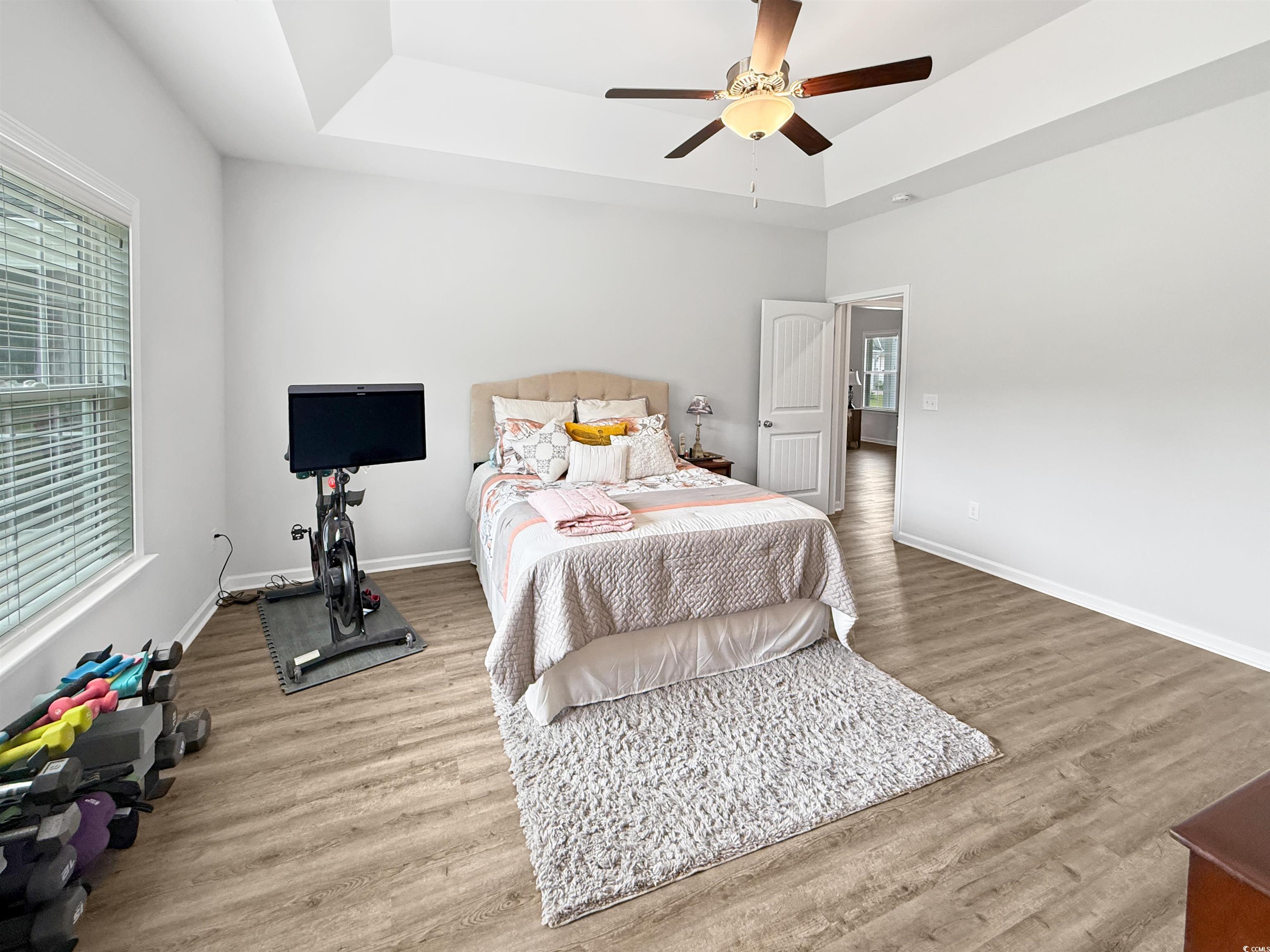 40 Little Peru Court Georgetown, SC 29440 - Photo 26 of 32 Bedroom with a tray ceiling, wood finished floors, and multiple windows