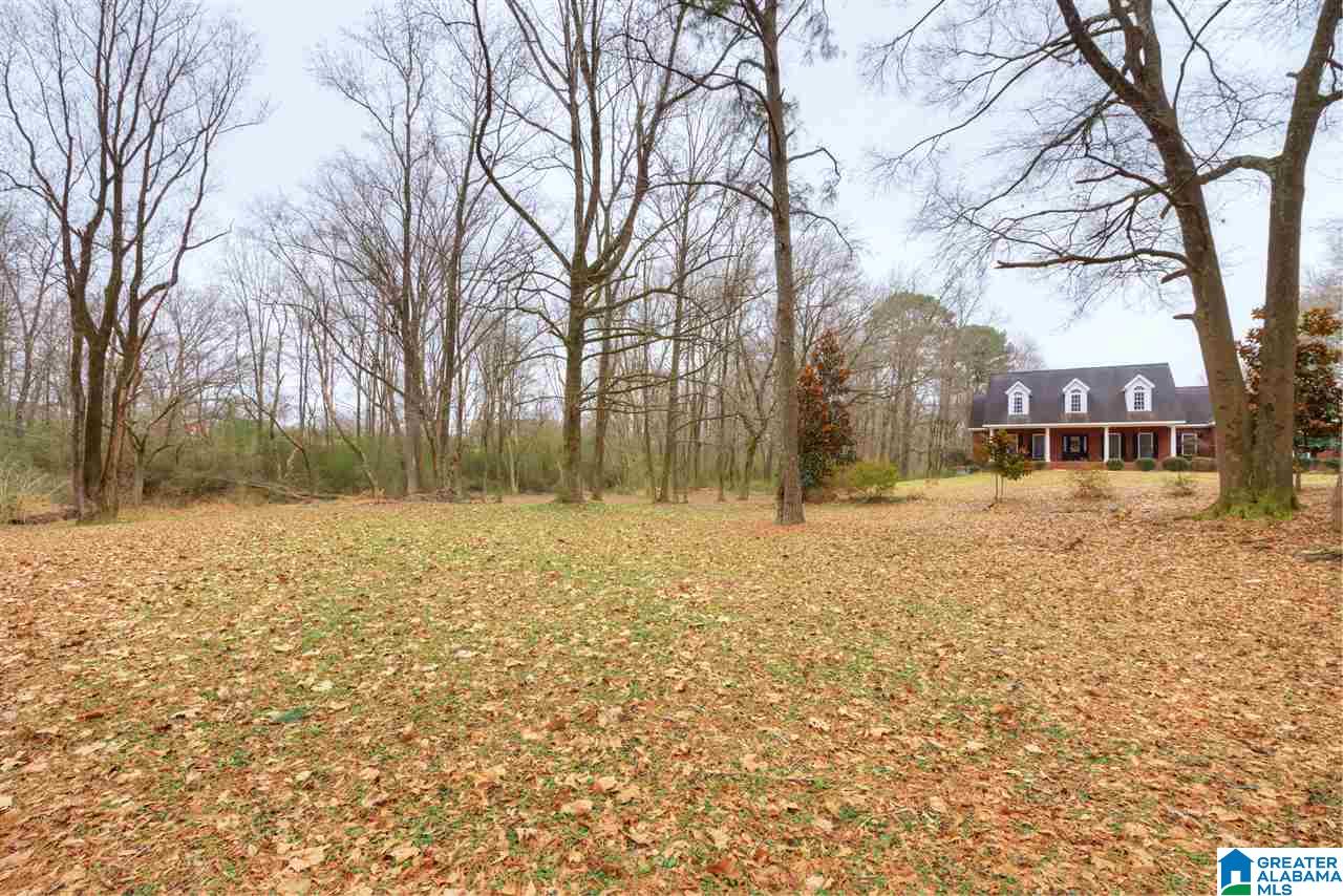 762 Summerville Road Jasper, AL 35504 - Photo 6 of 28