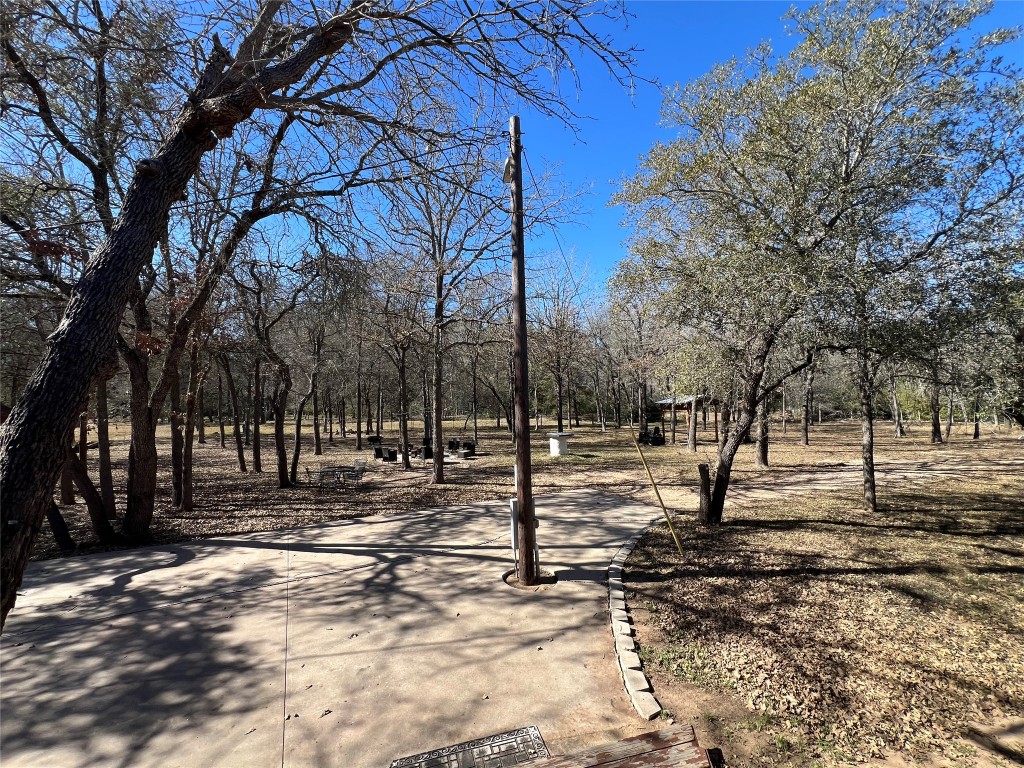 665 Wilson Road Red Rock, TX 78662 - Photo 29 of 34 View of yard