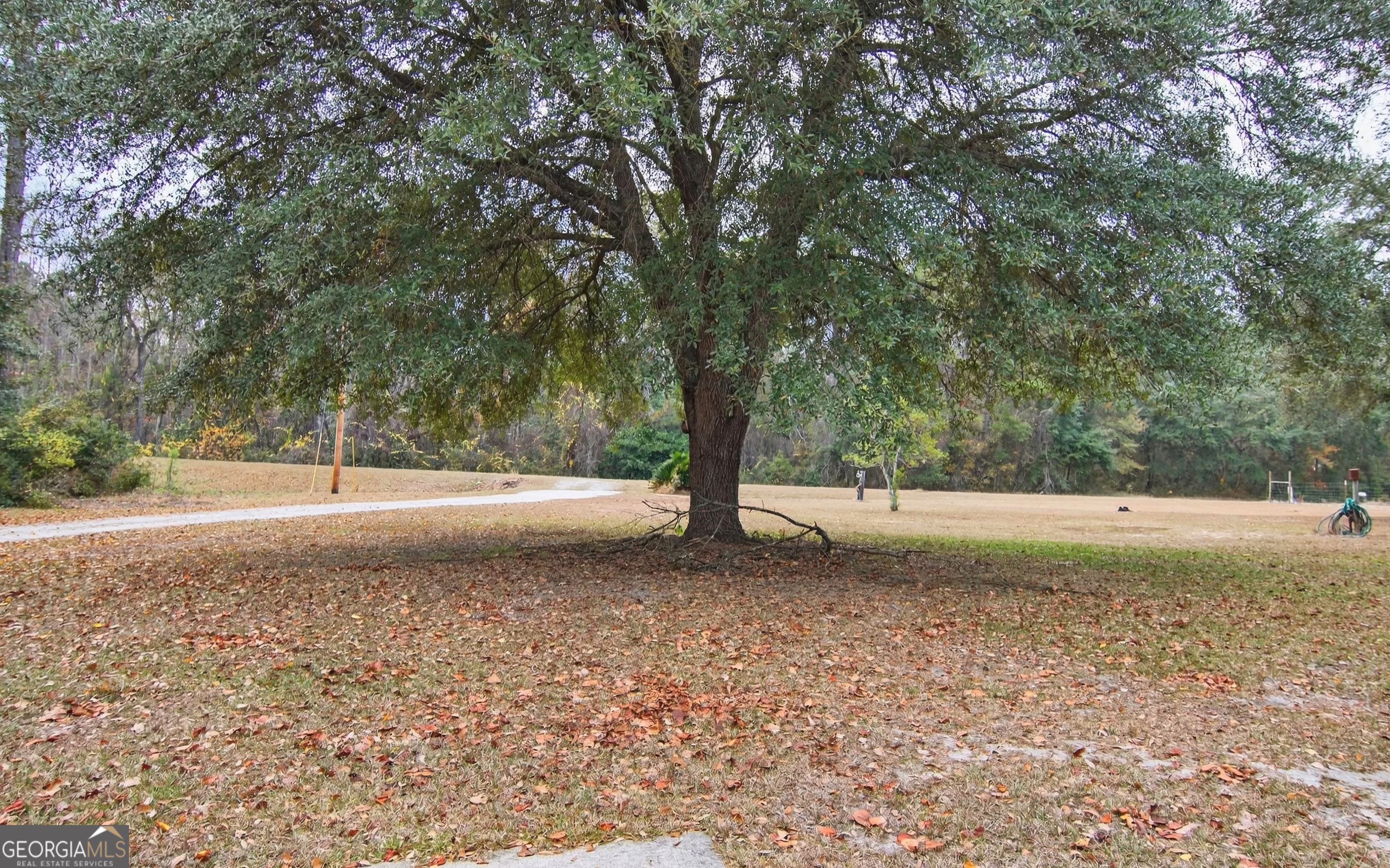 3900 Nevils Groveland Road Pembroke, GA 31321 - Photo 21 of 75