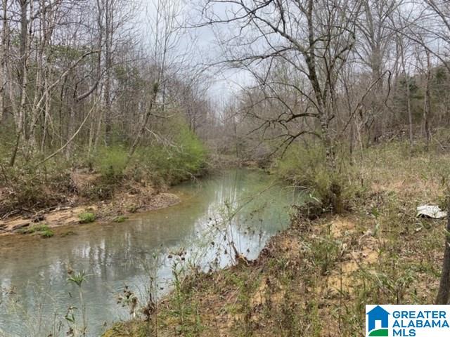 Pendley Creek Road, Unit 7 Carbon Hill, AL 35549 - Photo 3 of 10