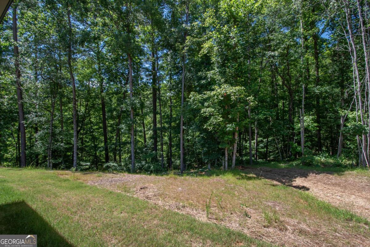 5 Firefly Run LaGrange, GA 30240 - Photo 53 of 53 a view of outdoor space with trees