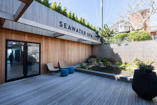 a potted plant sitting in front of a house