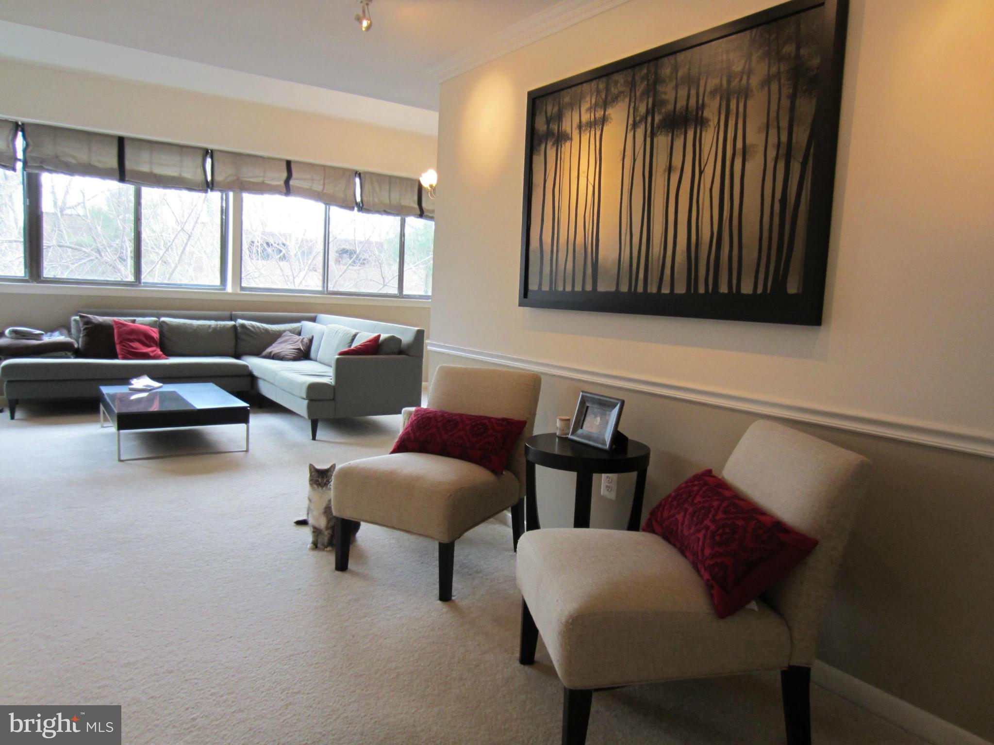 11260 Chestnut Grove Square, Unit 337 Reston, VA 20190 - Photo 8 of 15 Interior (General)