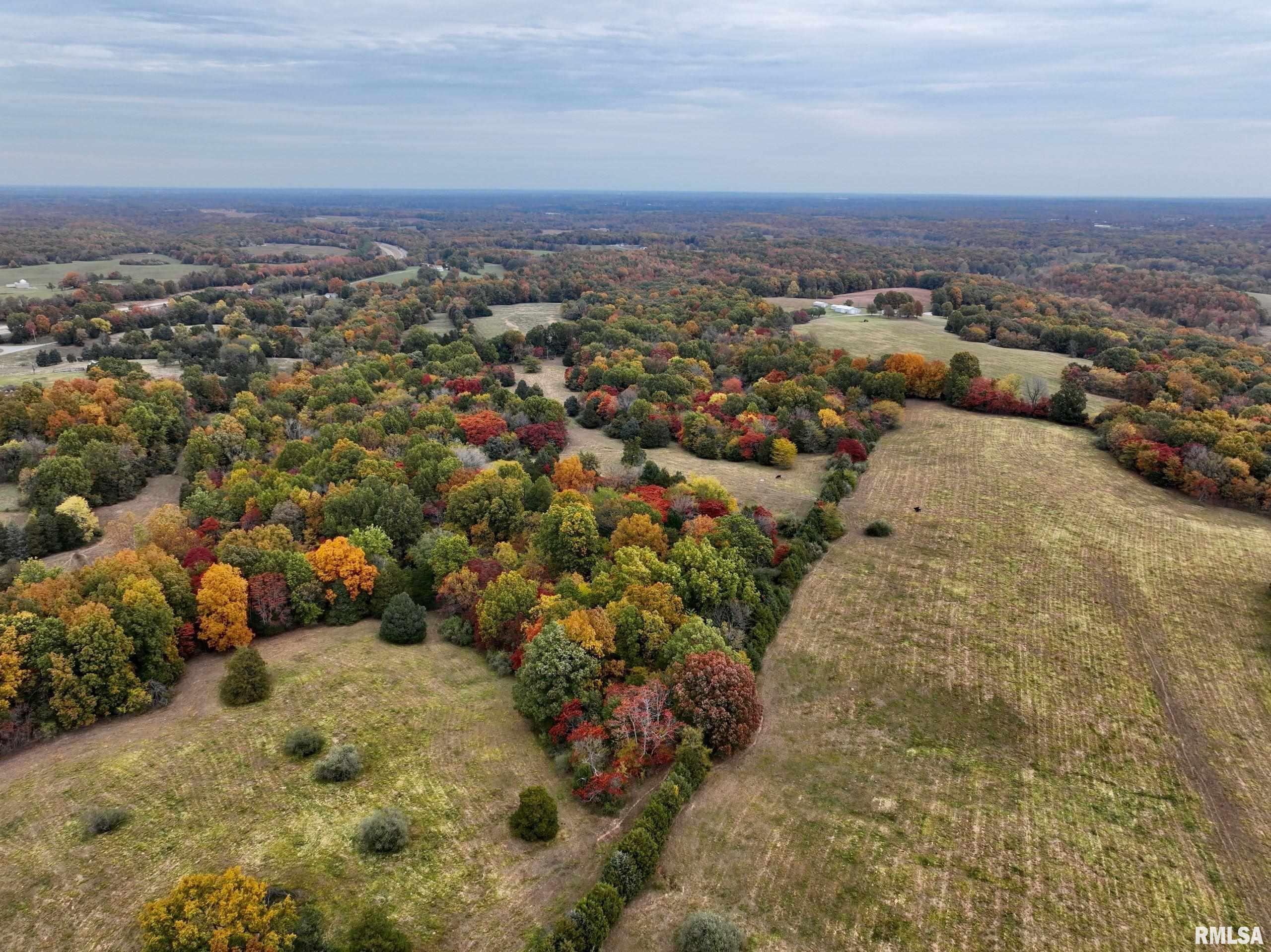 3 Friendship Loop Goreville, IL 62939 - Photo 1 of 26 Gallery Image 1