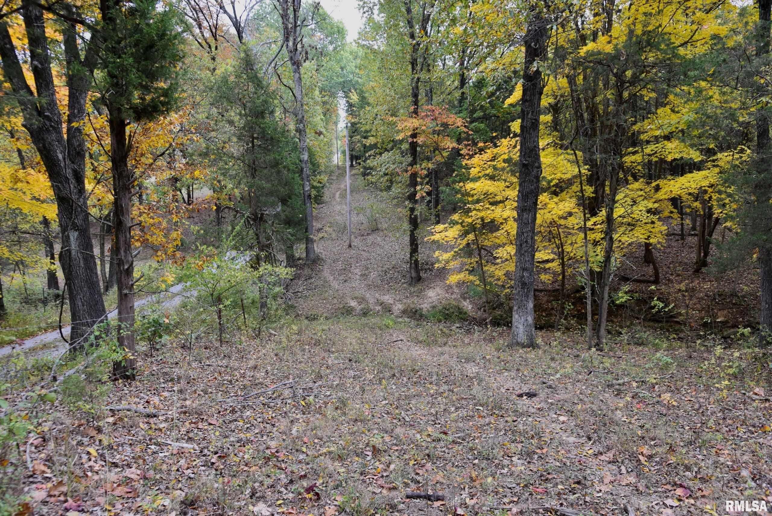 3 Friendship Loop Goreville, IL 62939 - Photo 11 of 26 Gallery Image 11