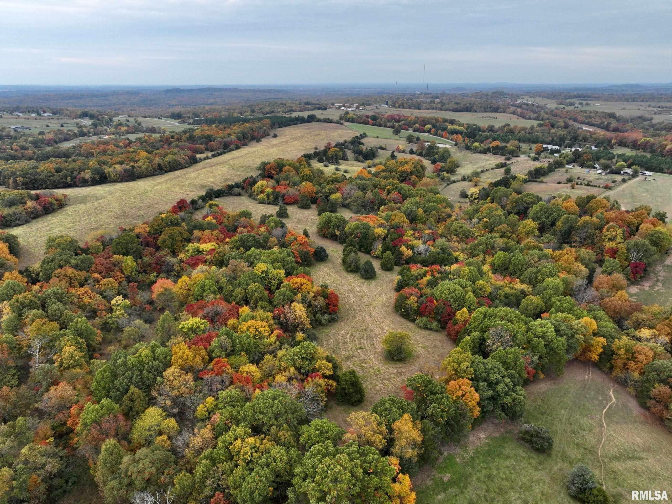 3 Friendship Loop Goreville, IL 62939 - Photo 12 of 26 Gallery Image 12