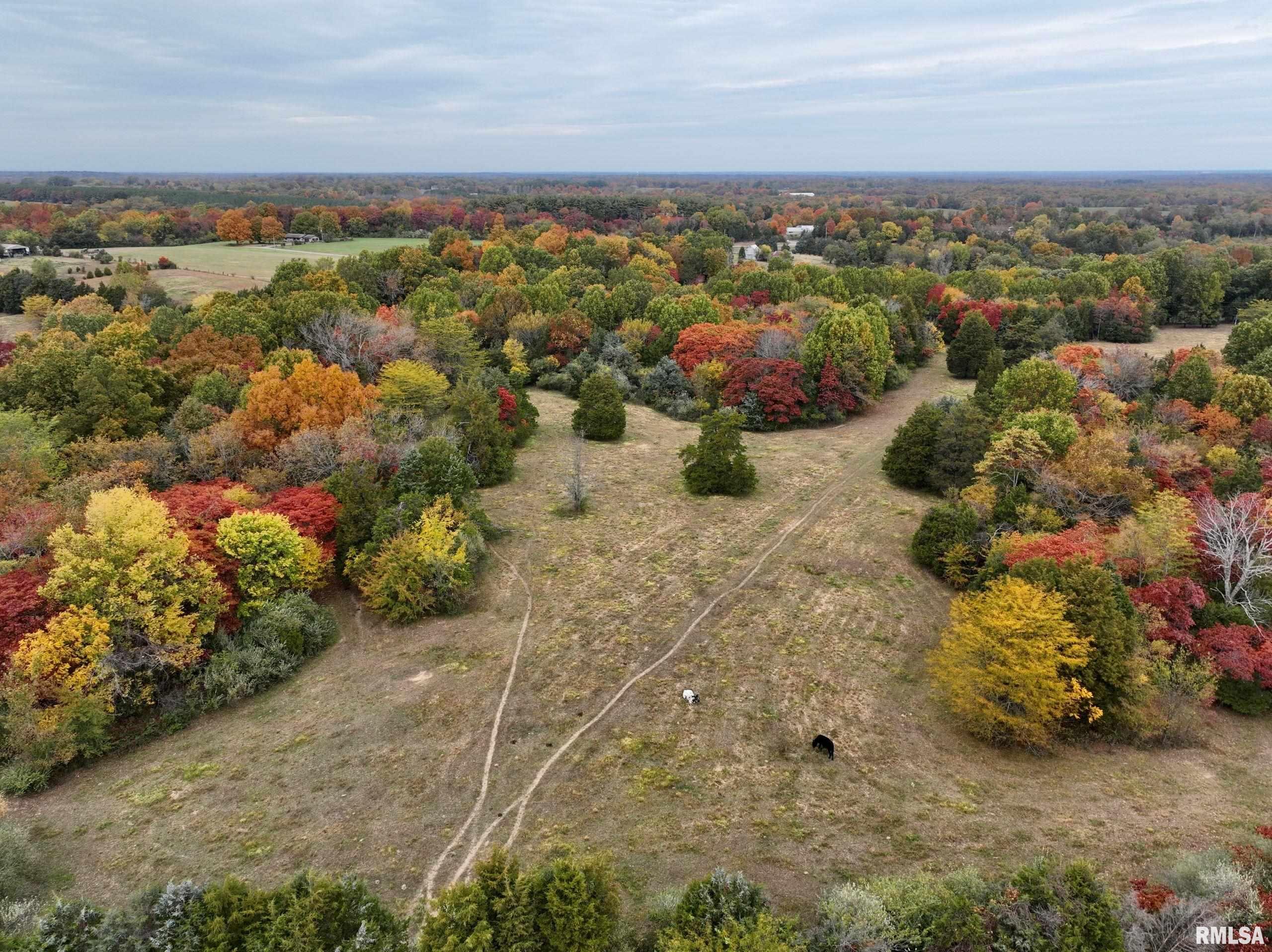 3 Friendship Loop Goreville, IL 62939 - Photo 23 of 26 Gallery Image 23