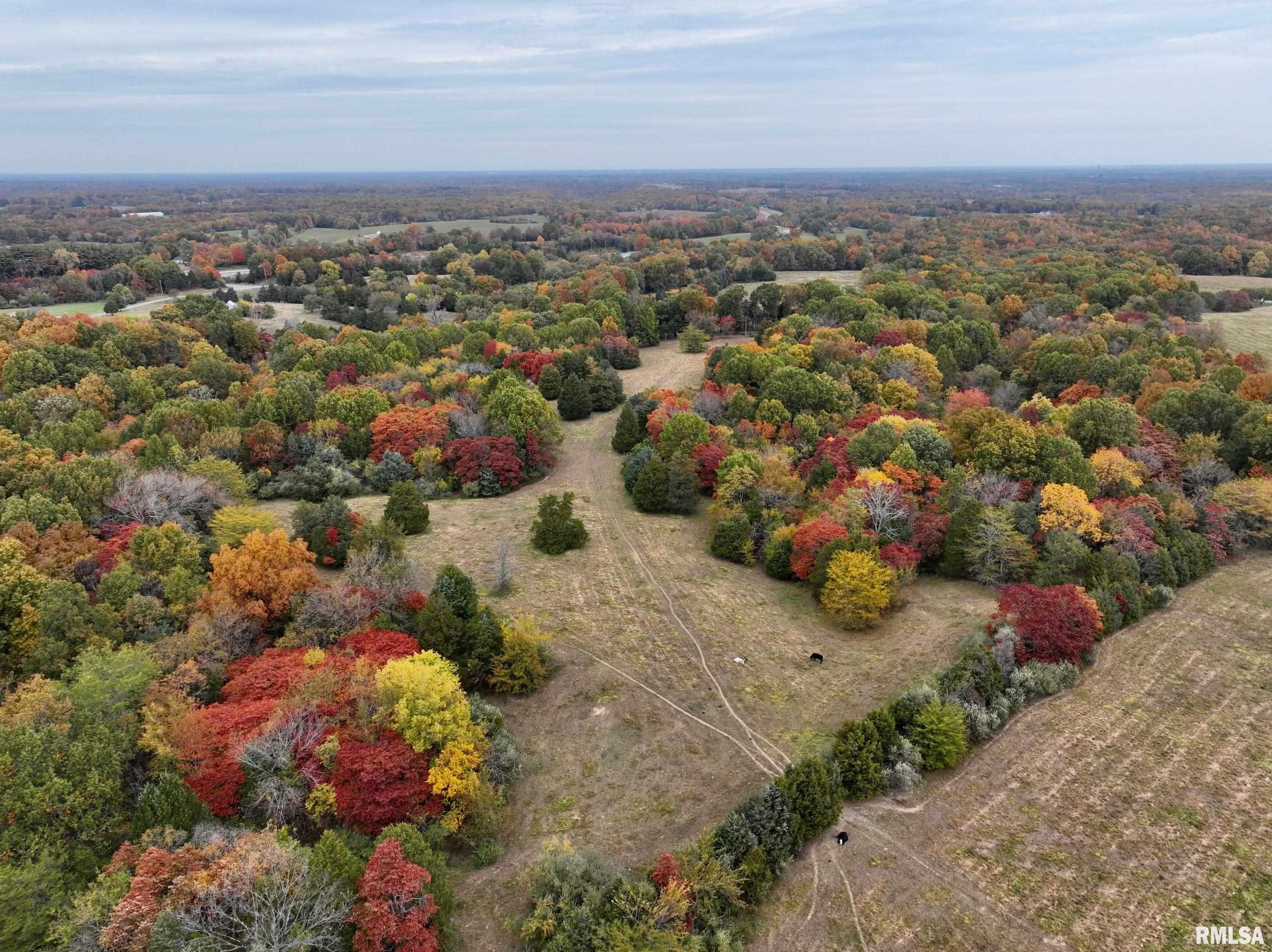 3 Friendship Loop Goreville, IL 62939 - Photo 24 of 26 Gallery Image 24
