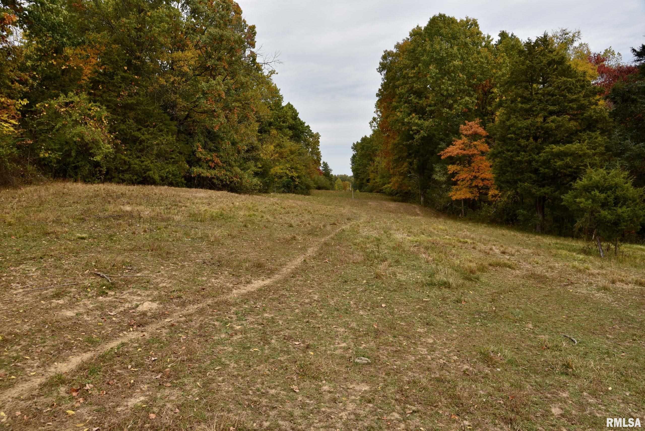 3 Friendship Loop Goreville, IL 62939 - Photo 4 of 26 Gallery Image 4