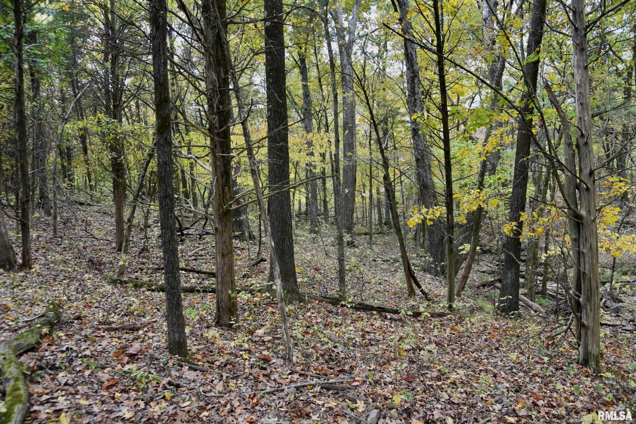 3 Friendship Loop Goreville, IL 62939 - Photo 5 of 26 Gallery Image 5