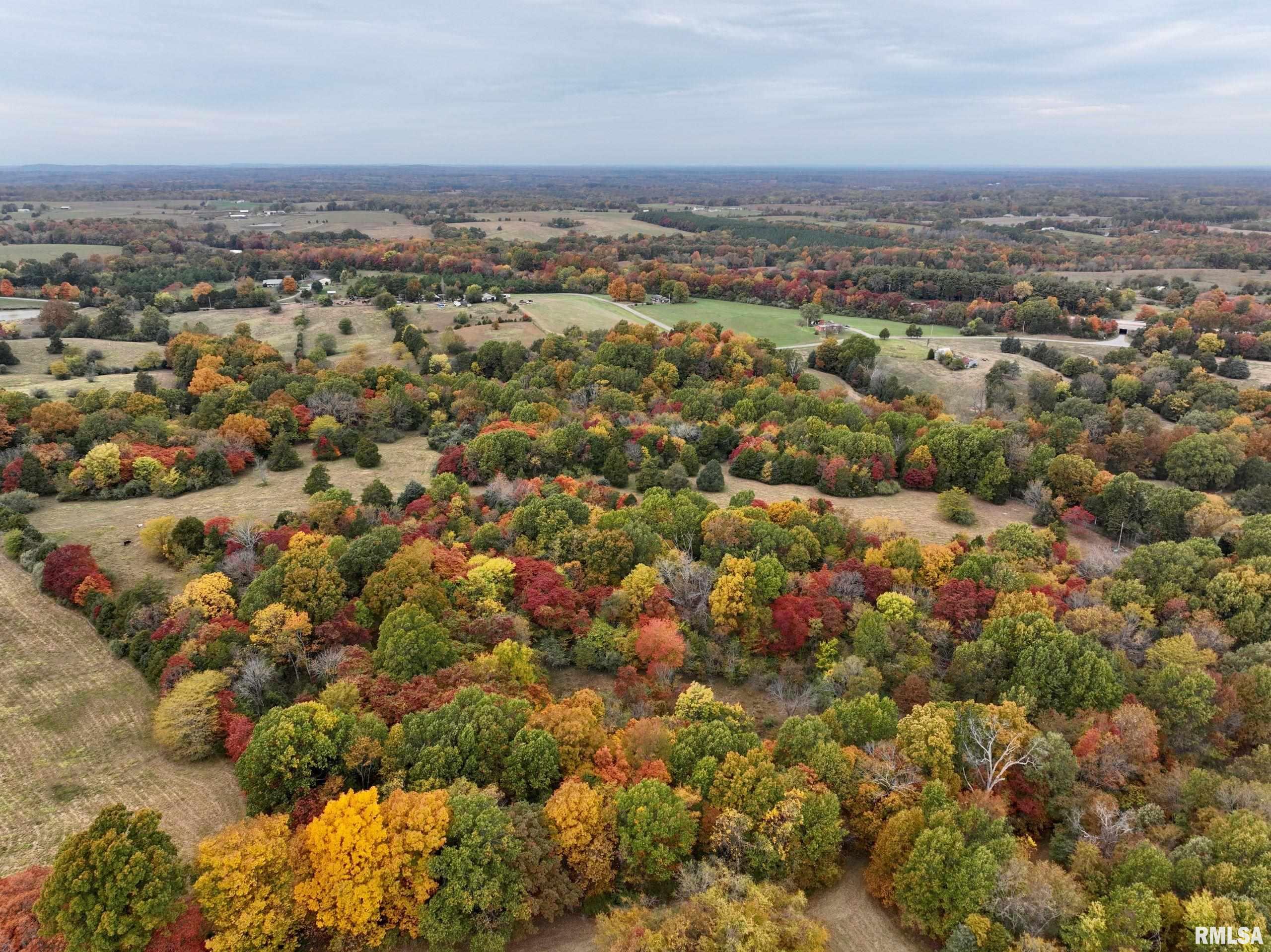 3 Friendship Loop Goreville, IL 62939 - Photo 6 of 26 Gallery Image 6