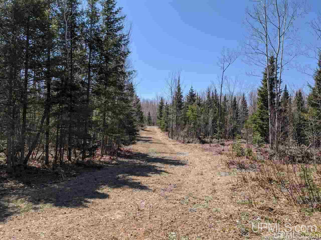 Tbd Off Leeman Road, Unit SENW NESW Sagola, MI 49881 - Photo 12 of 18
