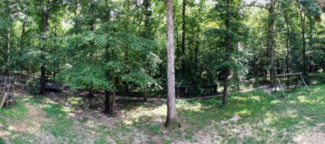 85 Woods Road Juliette, GA 31046 - Photo 25 of 36 a view of a forest with trees