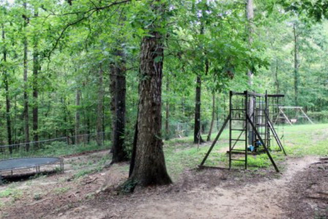 85 Woods Road Juliette, GA 31046 - Photo 29 of 36 a view of a yard with a tree