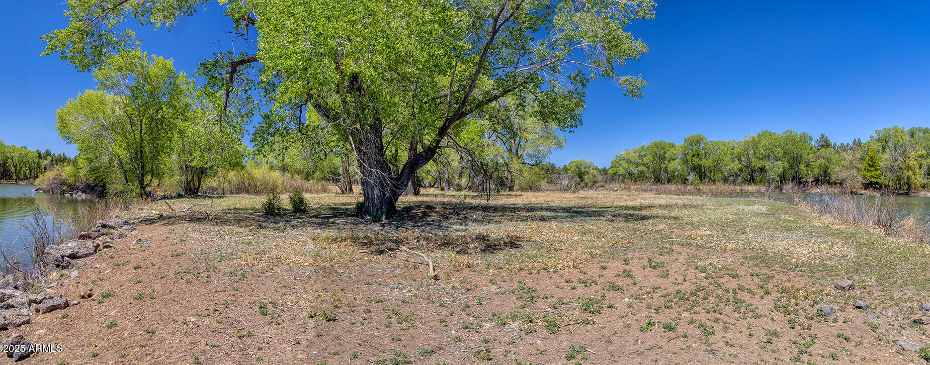 Pinetop-lakeside Larson Road Lakeside, AZ 85929 - Photo 10 of 45 a view of backyard with green space