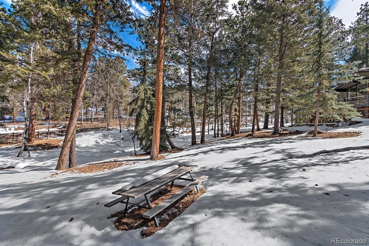 6639 Kiem Road Evergreen, CO 80439 - Photo 32 of 38 Gallery Image 32