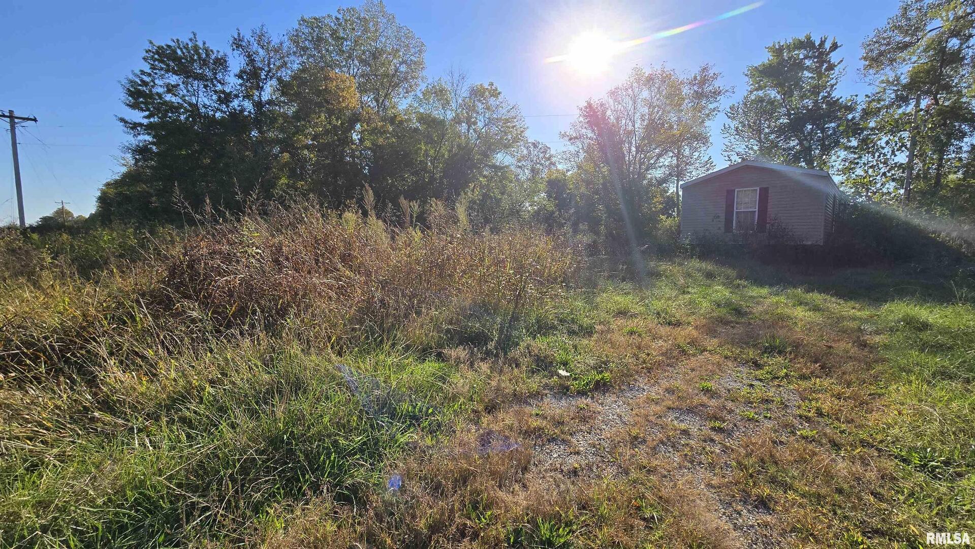5725 West State Rte 146 West Jonesboro, IL 62952 - Photo 5 of 8 a backyard of a house with lots of green space