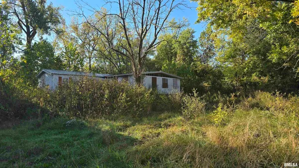 a view of a back yard
