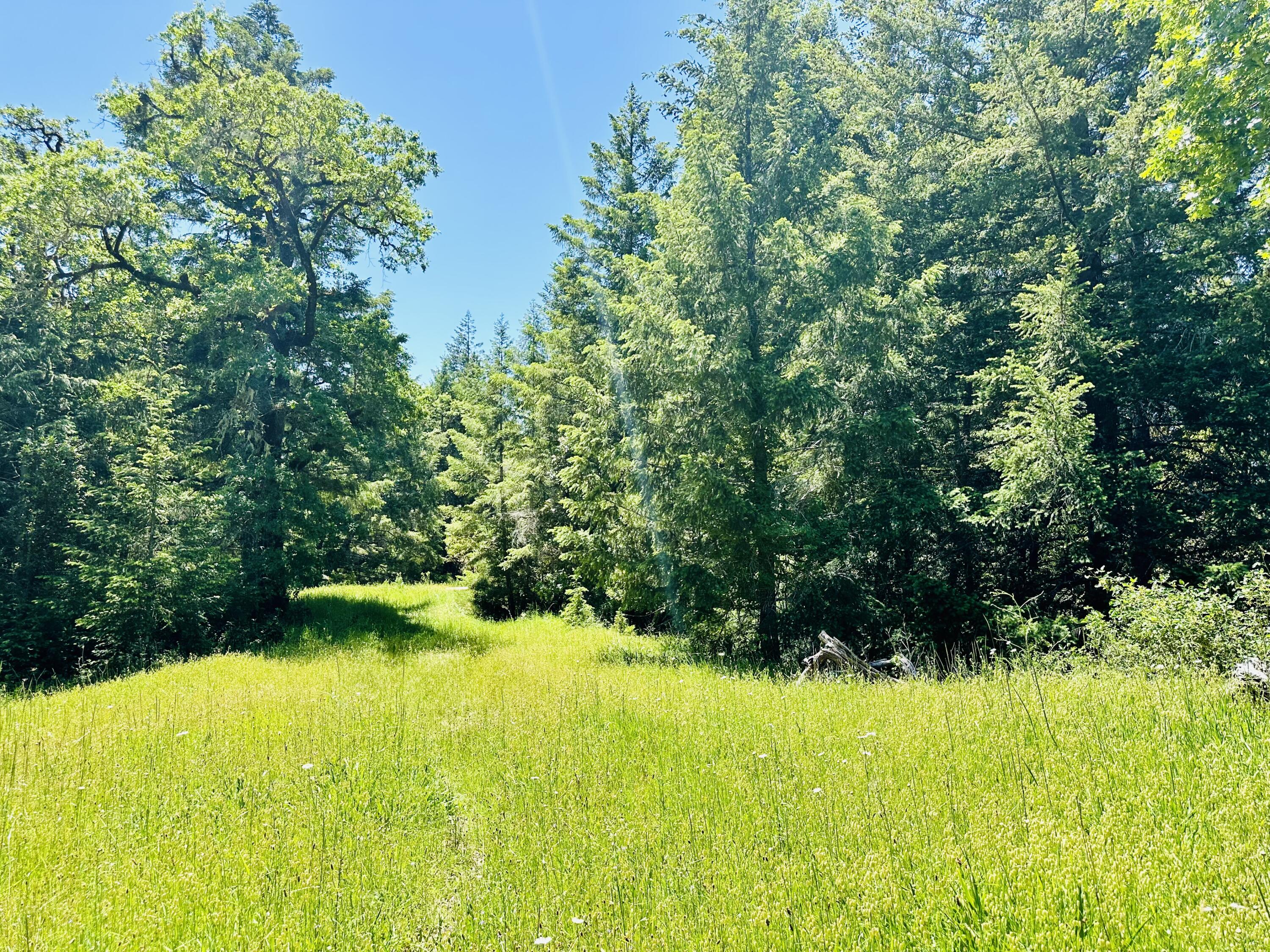 400 Seely Creek Road Redway, CA 95560 - Photo 8 of 73