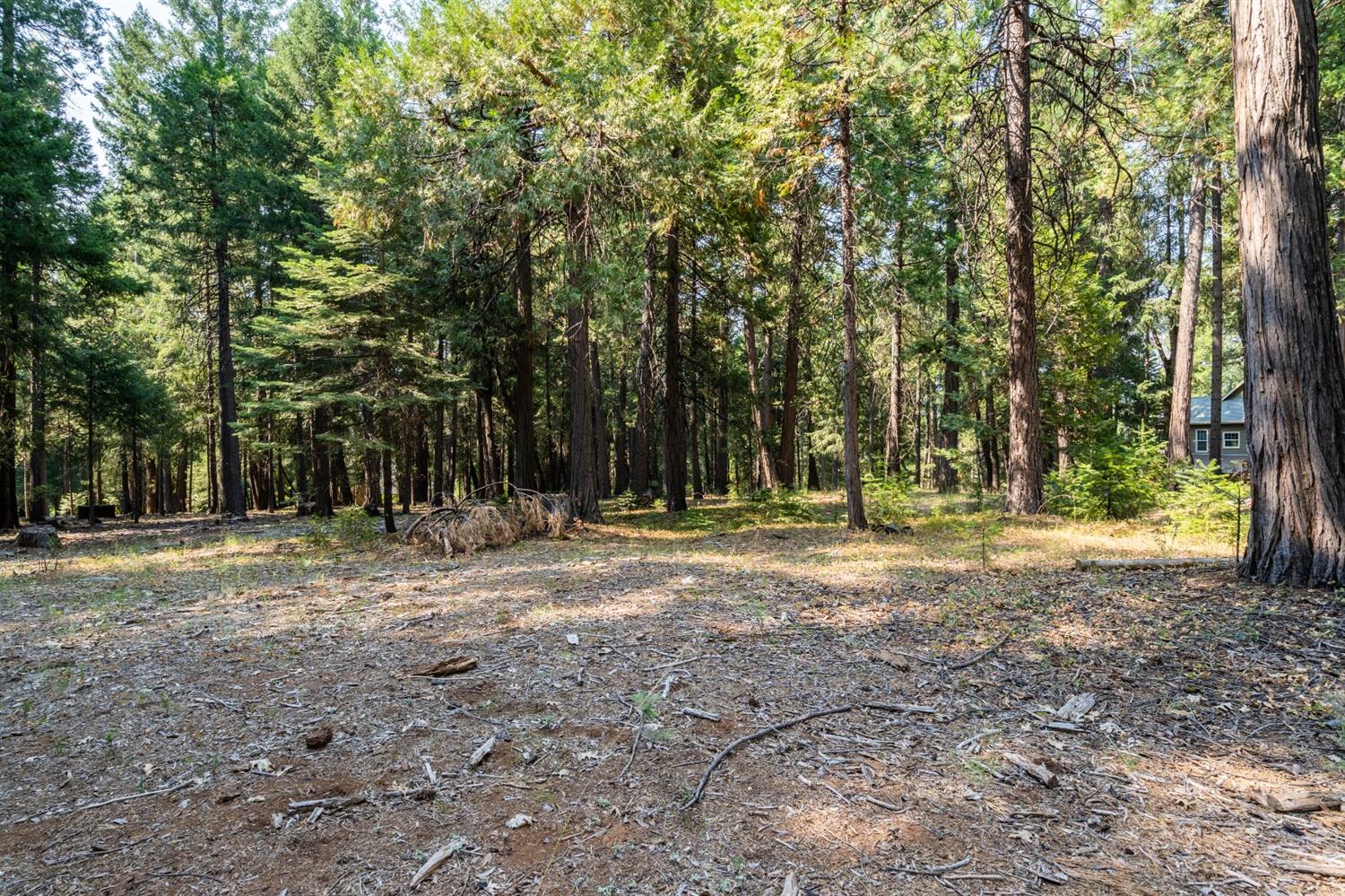 13518 Quaker Hill Cross Road Nevada City, CA 95959 - Photo 17 of 30 a view of a yard with tree s