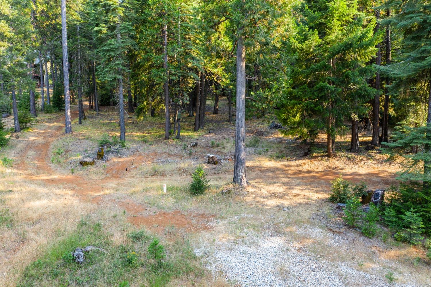 13518 Quaker Hill Cross Road Nevada City, CA 95959 - Photo 28 of 30 a view of a yard with plants and trees