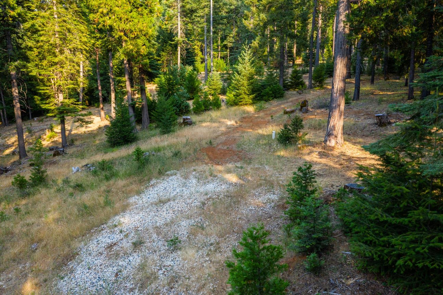 13518 Quaker Hill Cross Road Nevada City, CA 95959 - Photo 7 of 30 a pathway of a yard