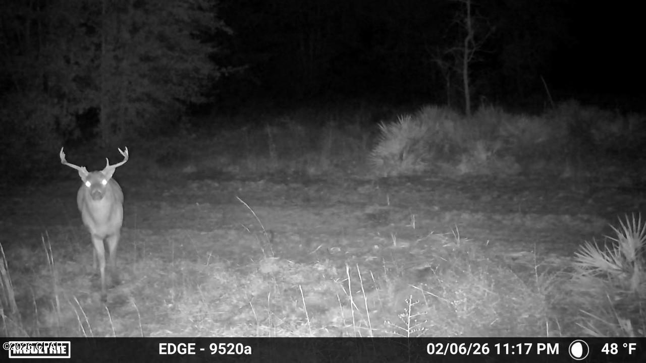 705 Cornwell Road Alford, FL 32420 - Photo 82 of 89