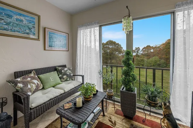 a living room with furniture and a potted plant