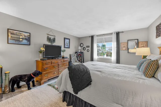 a bedroom with a bed and tv