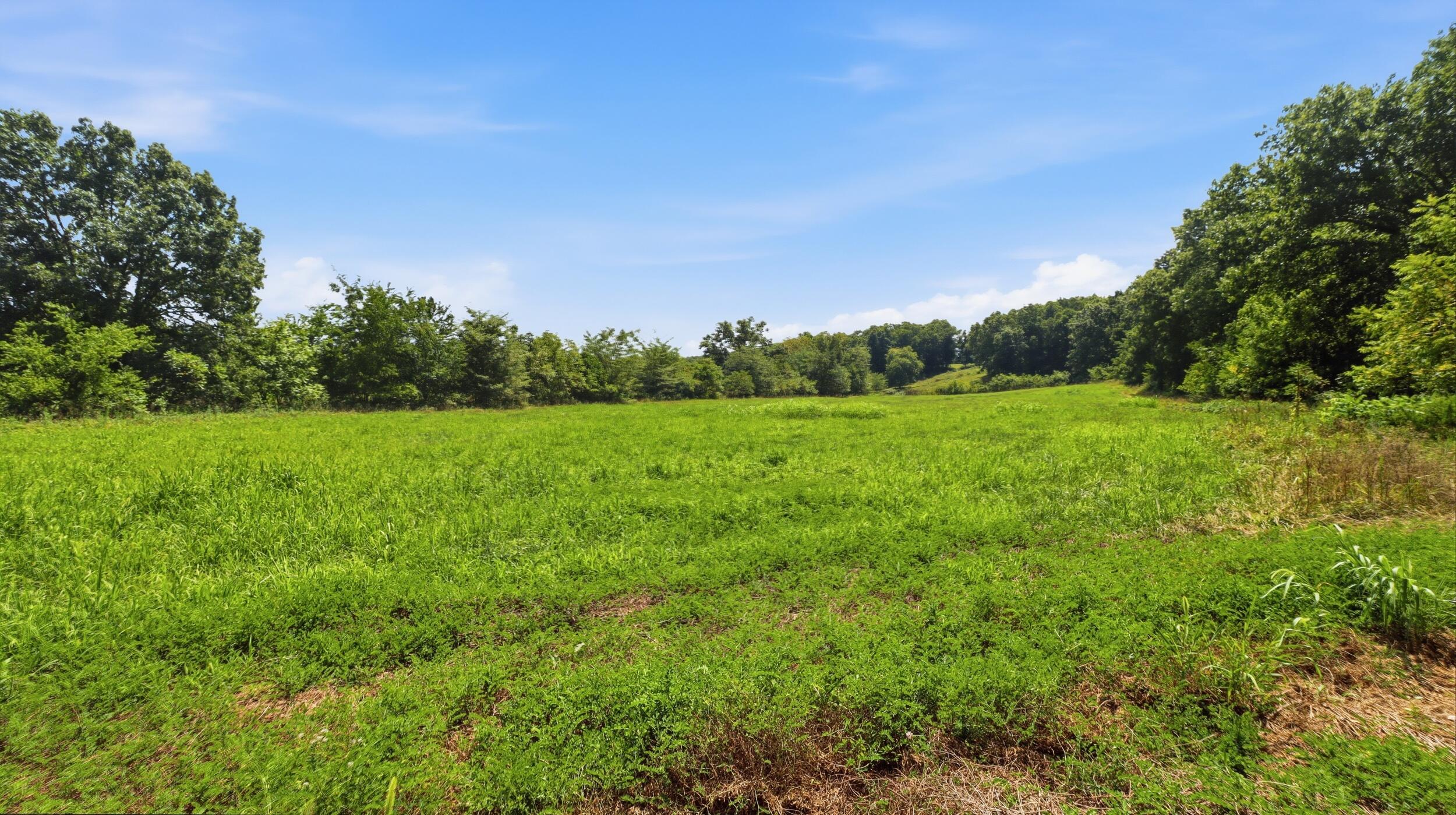 18482 Dixon Road Licking, MO 65542 - Photo 56 of 57 img_0207