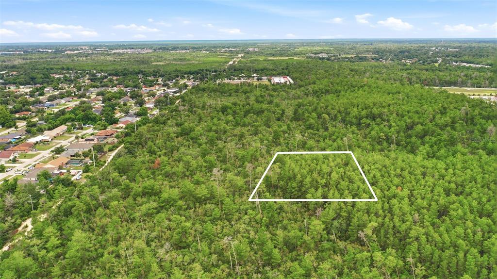 Wolverine (paper) Avenue Deltona, FL 32725 - Photo 12 of 24