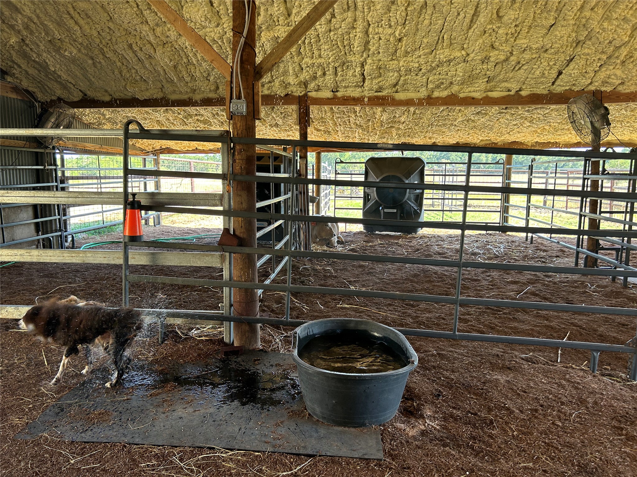 15892 Wood Road Holland, TX 76534 - Photo 28 of 34 A well-structured barn with metal fencing provides a secure and sheltered environment for animals.