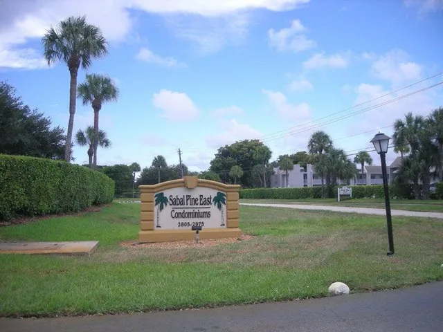 a view of a park with palm trees