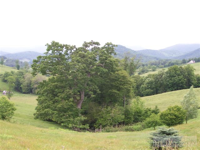 Lot 3 Waterstone Boone, NC 28607 - Photo 1 of 6 Gallery Image 1