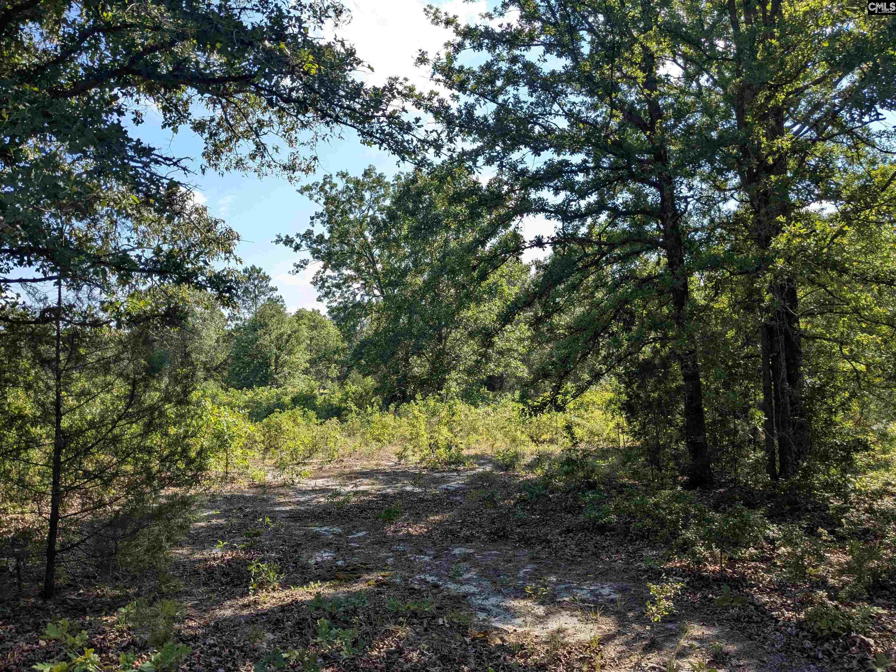 Hound Hollow Road Camden, SC 29020 - Photo 6 of 21 Gallery Image 6