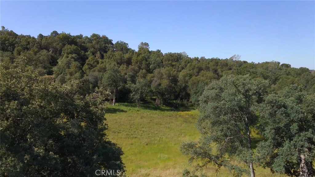 4952 Hidden Springs Road Mariposa, CA 95338 - Photo 49 of 63