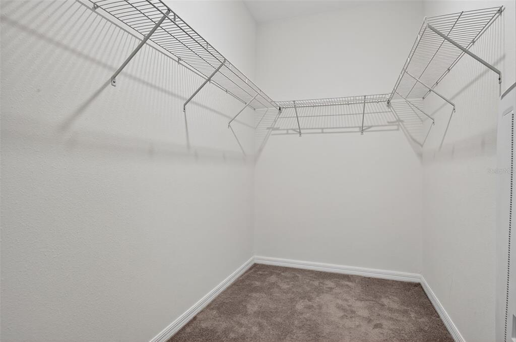 31967 Blue Passing Loop Wesley Chapel, FL 33545 - Photo 18 of 25