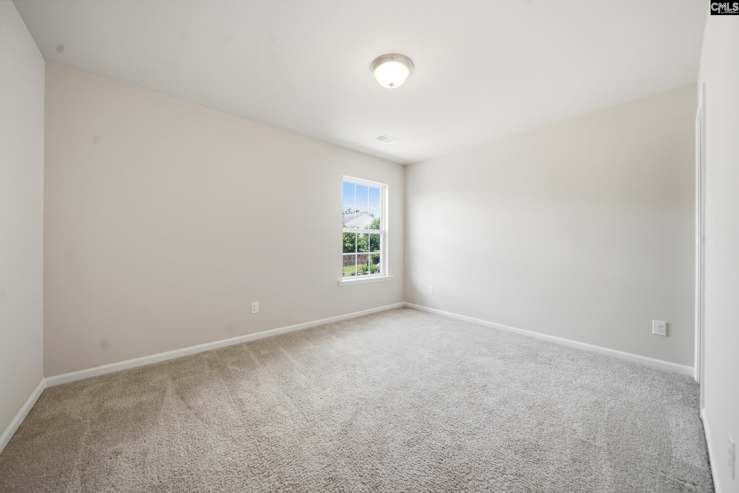 384 Explorer Drive Chapin, SC 29036 - Photo 19 of 32
