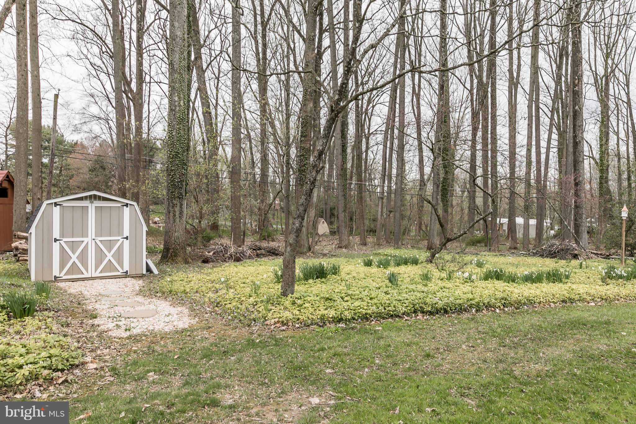 1310 Milldam Road Baltimore, MD 21286 - Photo 29 of 29 a backyard of house with a trees and plants