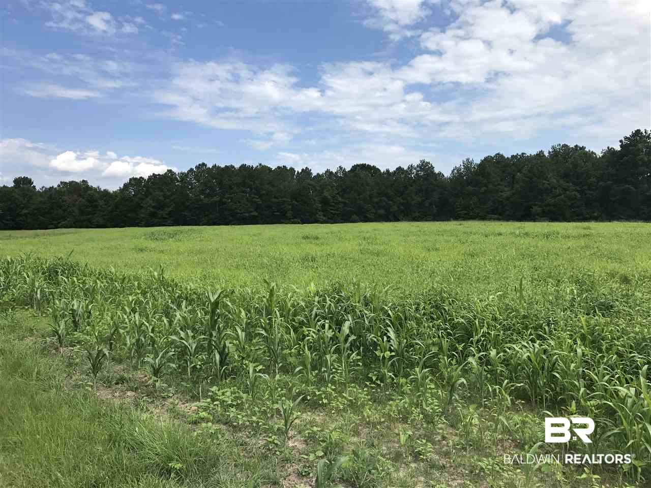 1478 Ridge Road Greenville, AL 36037 - Photo 14 of 50