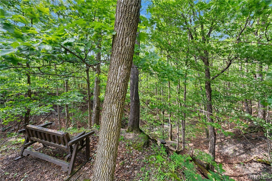 10985 Griswold Road Darien, NY 14040 - Photo 39 of 50