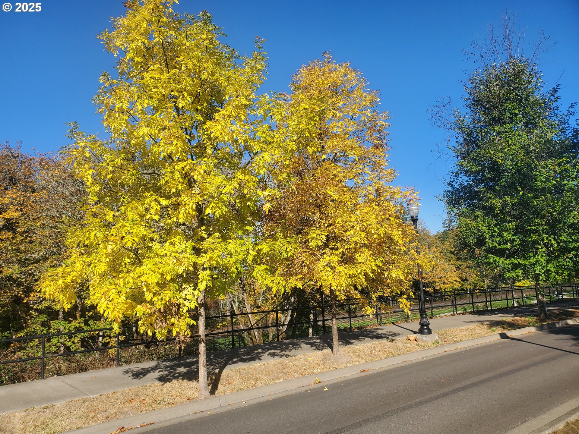4th Avenue Veneta, OR 97487 - Photo 15 of 18