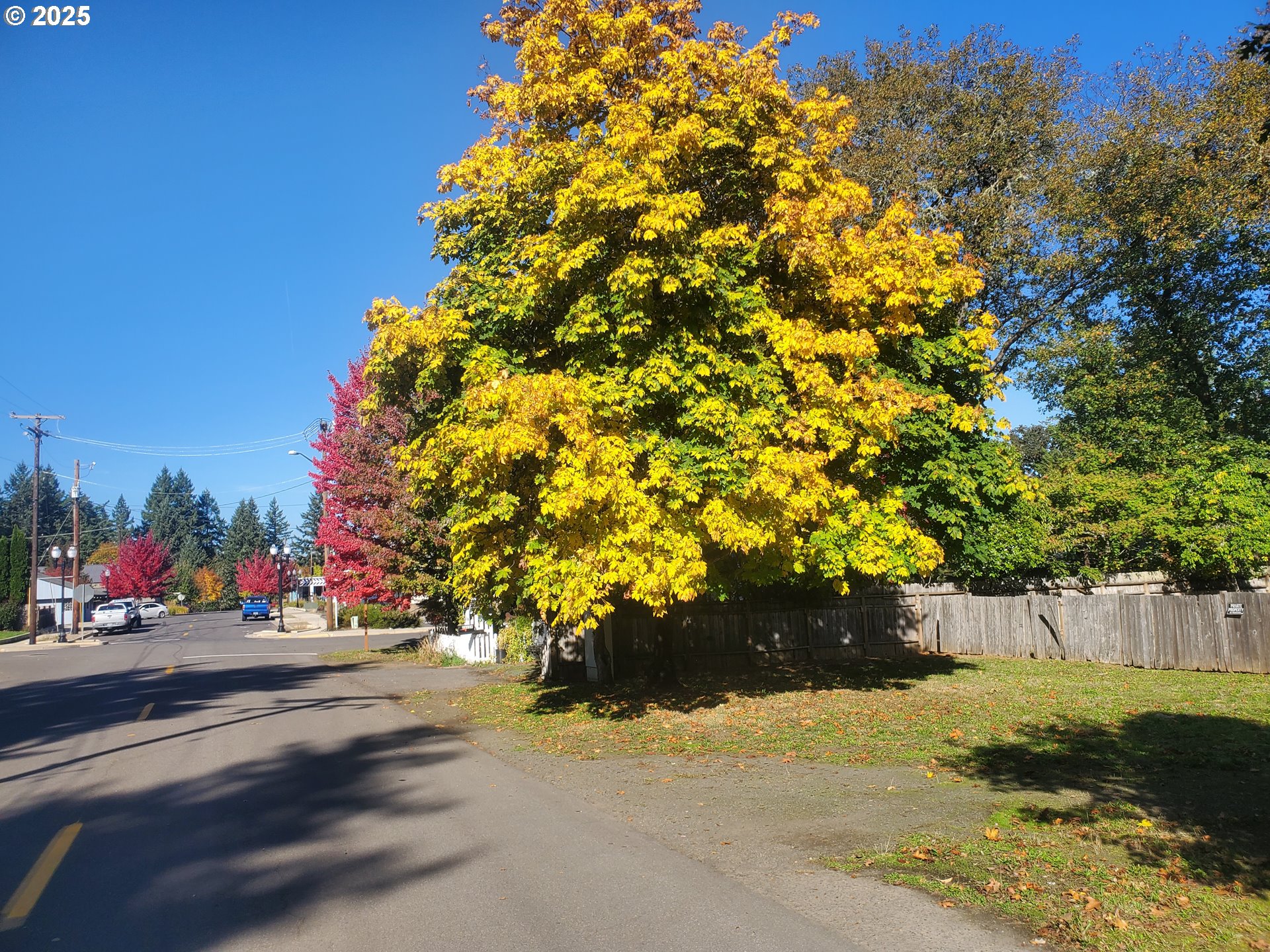 4th Avenue Veneta, OR 97487 - Photo 6 of 18