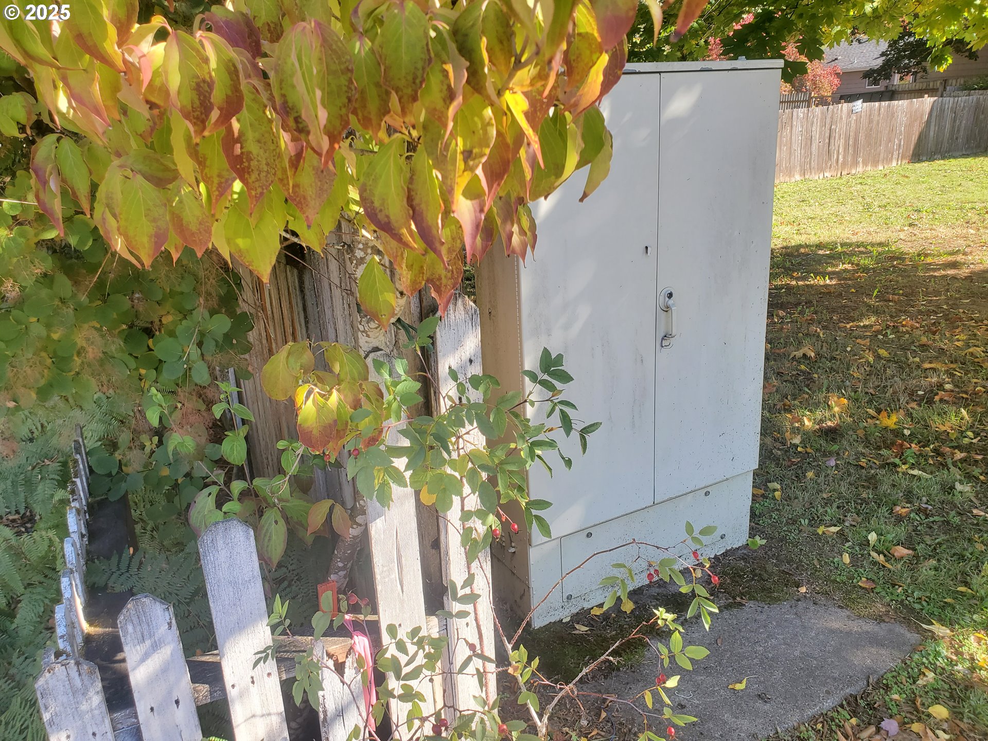 4th Avenue Veneta, OR 97487 - Photo 10 of 18