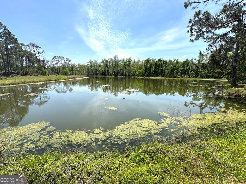 4448 Old Lake Park Road Valdosta, GA 31606 - Photo 36 of 40 a lake view with a garden