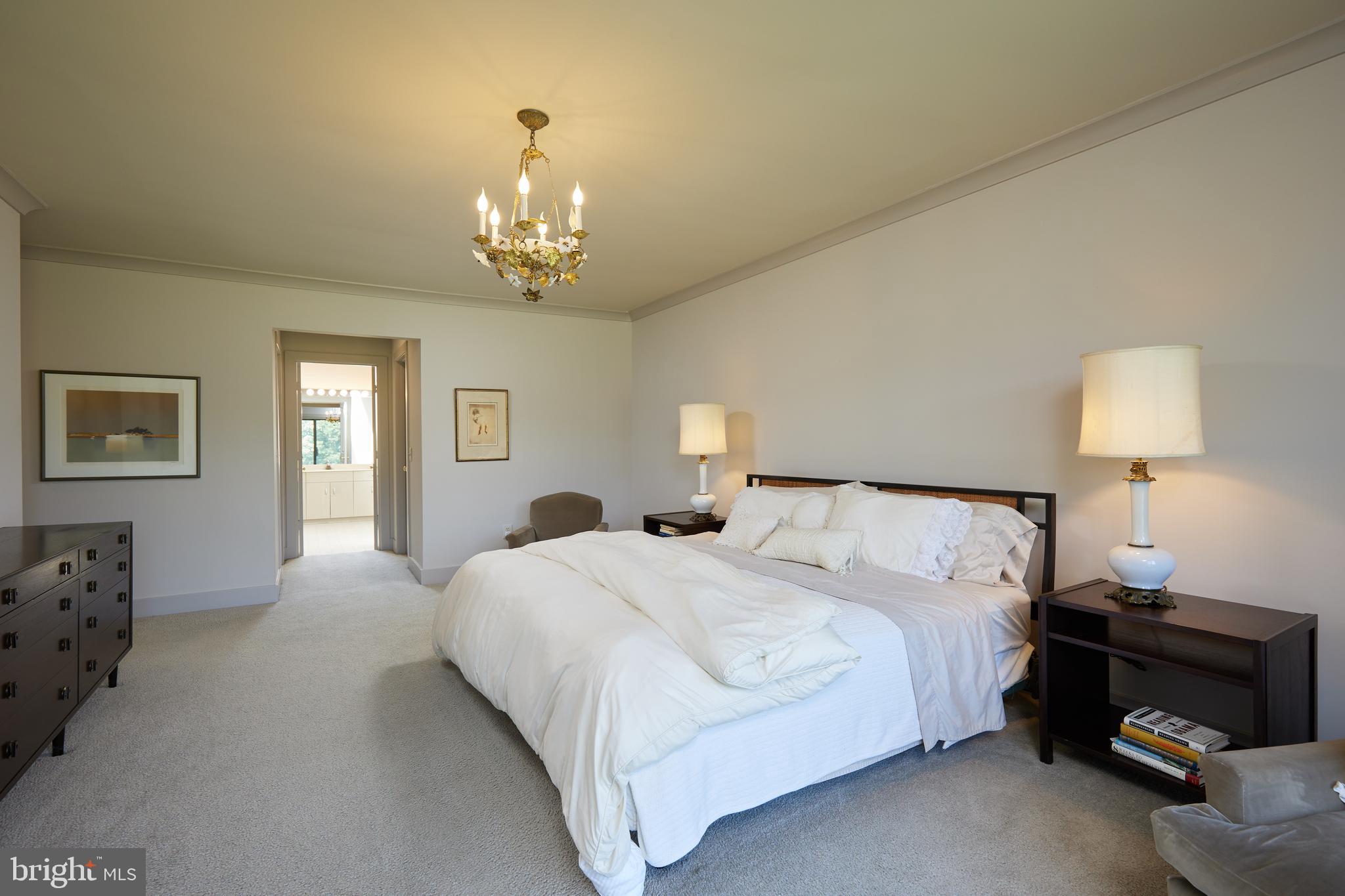 21520 Peach Tree Road Dickerson, MD 20842 - Photo 23 of 53 Primary suite