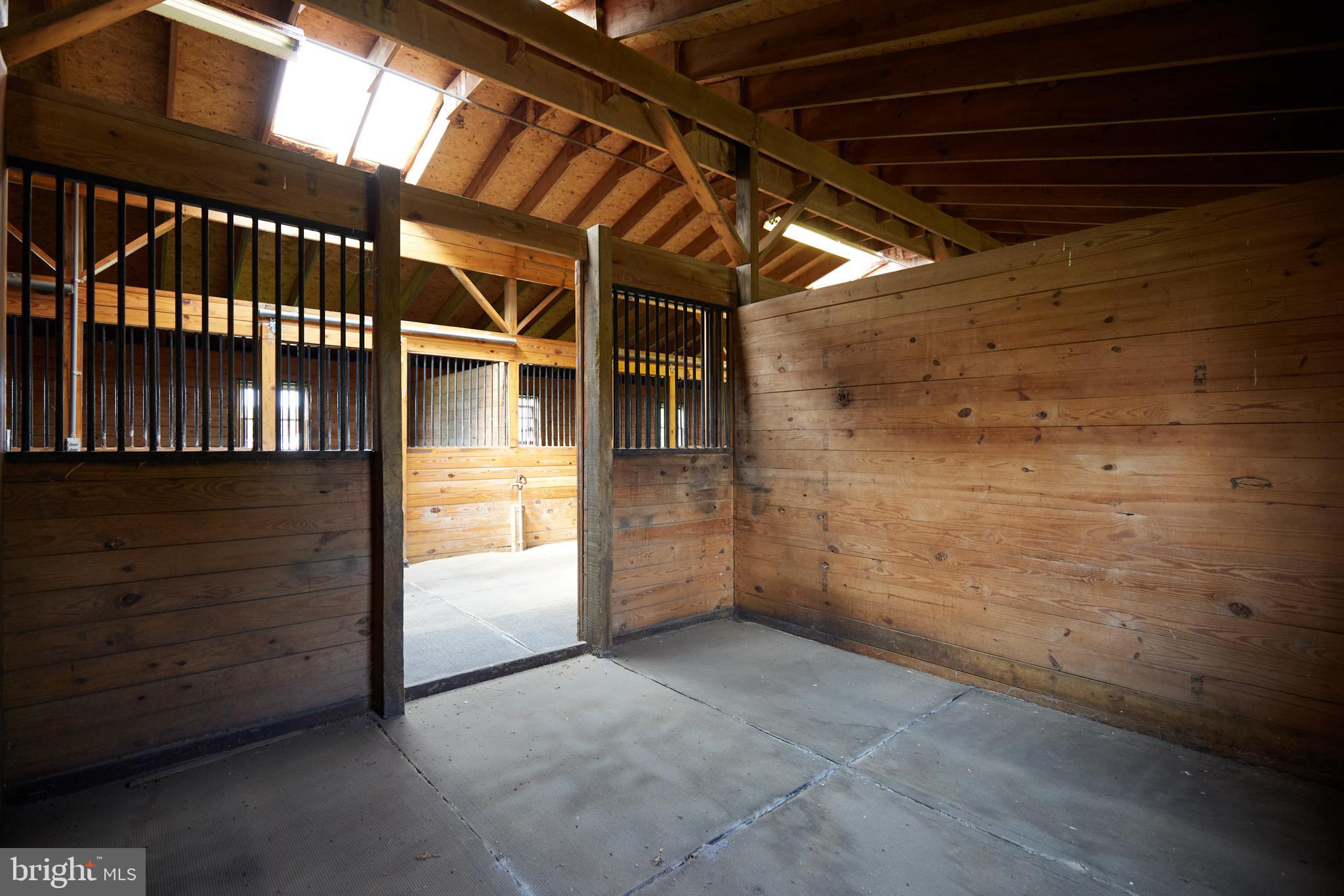 21520 Peach Tree Road Dickerson, MD 20842 - Photo 38 of 53 12 x 12 matted stalls