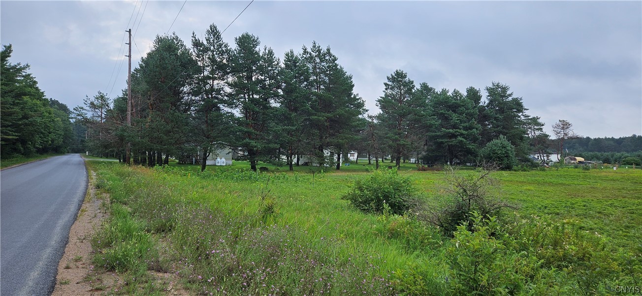 0 Dutch Hill Road Forestport, NY 13338 - Photo 11 of 18