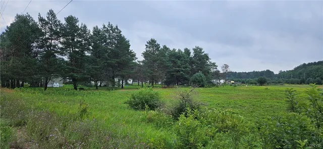 $945,000 | 0 Dutch Hill Road, Forestport, NY 13338